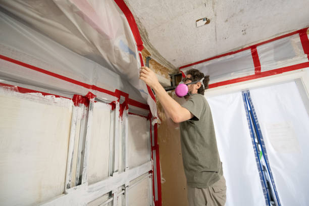 Best Crawl Space Mold Remediation  in Stonecrest, GA