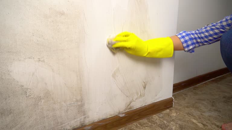 Best Indoor Air Quality Assessment  in Stonecrest, GA