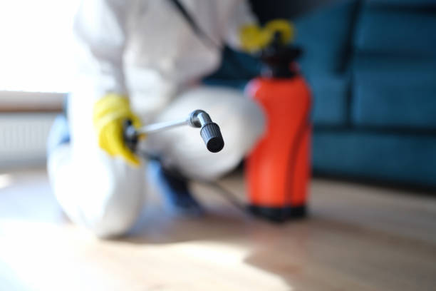 Best Mold Removal for HVAC Installations  in Stonecrest, GA