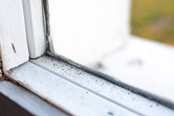 Best Post-Construction Mold Inspection  in Stonecrest, GA