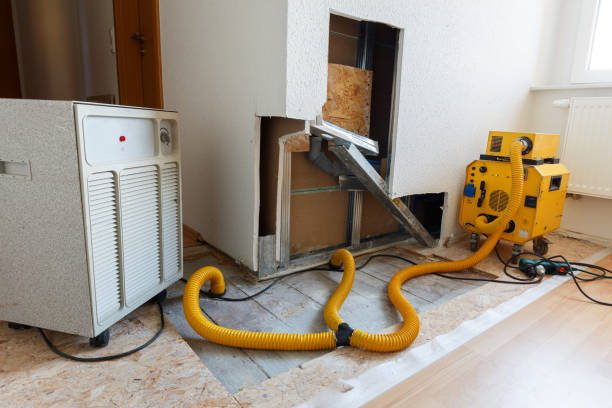 Stonecrest, GA Mold Removal Company