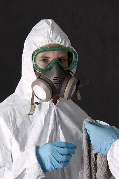 Best Mold Removal for HVAC Installations  in Stonecrest, GA